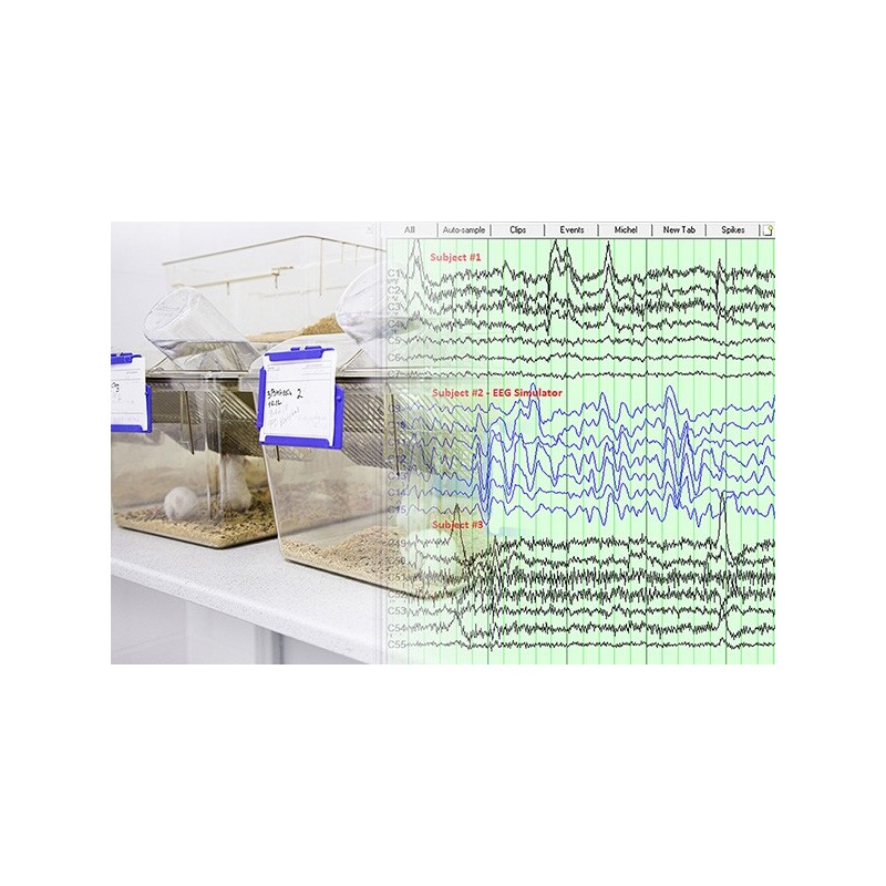 Quantum AR - EEG dla zwierząt